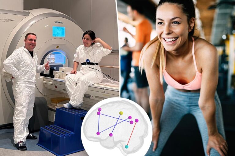 Effects of sleep, exercise can remain in the brain for 2 weeks: study

