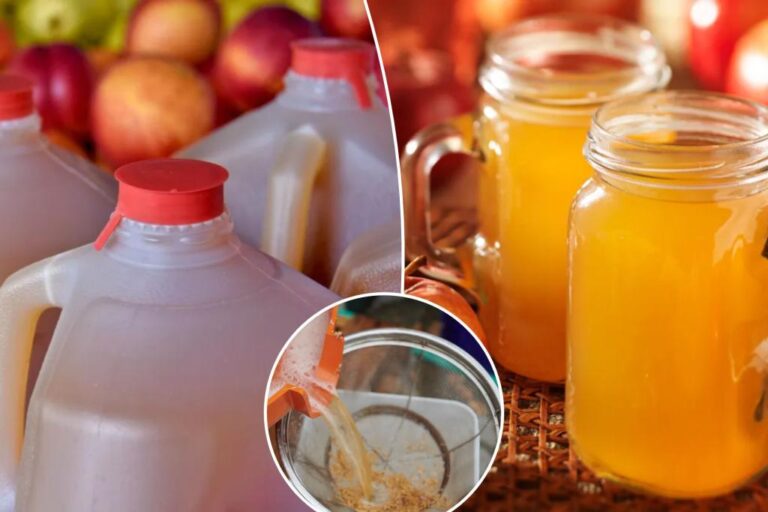 Unpasteurized apple cider can make you sick: health agencies

