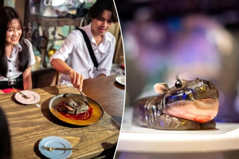 Moo Deng desserts stir up controversy among devoted fans

